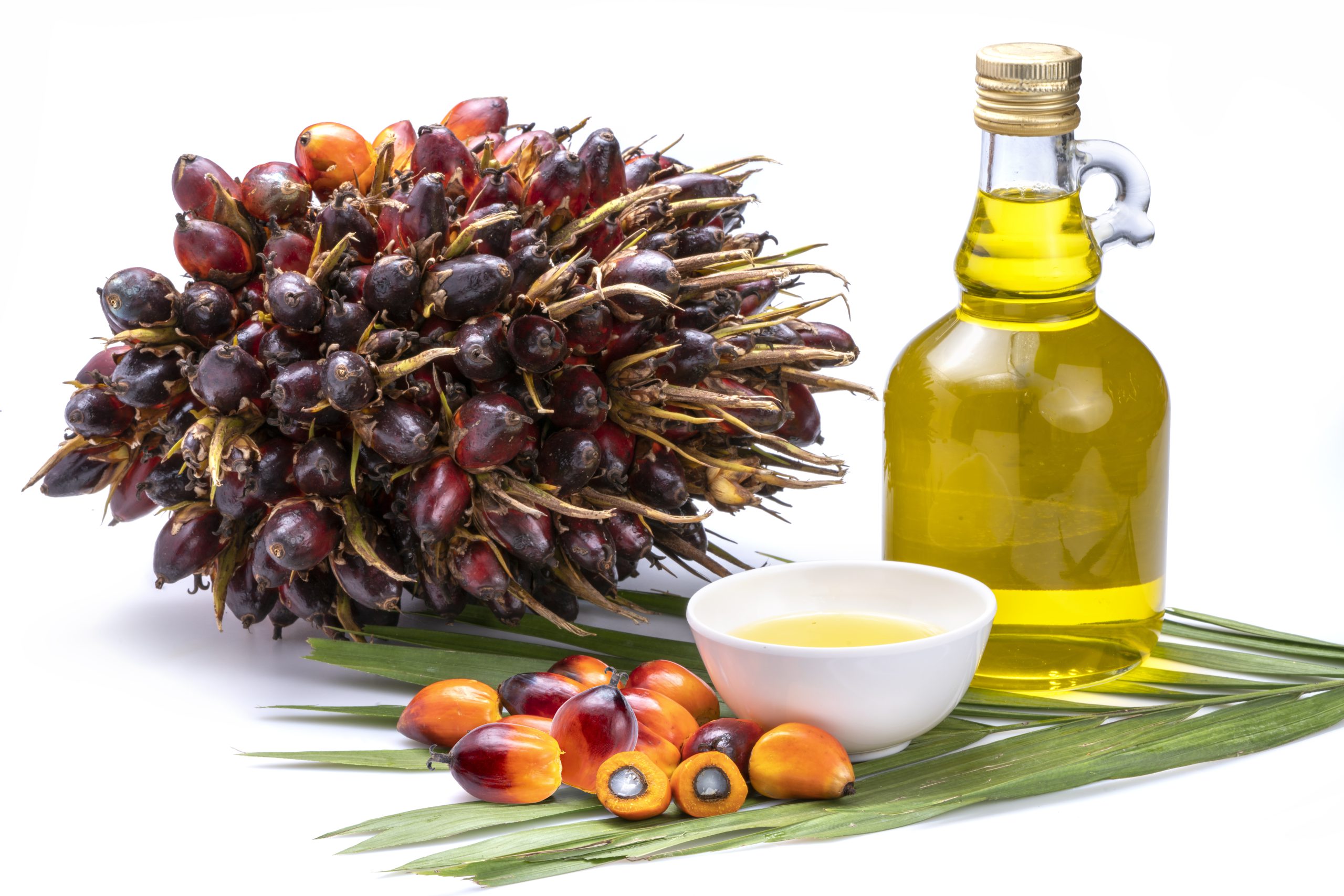 fresh-palm-oil-fruits-cooking-glass-bottles-palm-oil-palm-leaves-isolated-white-background